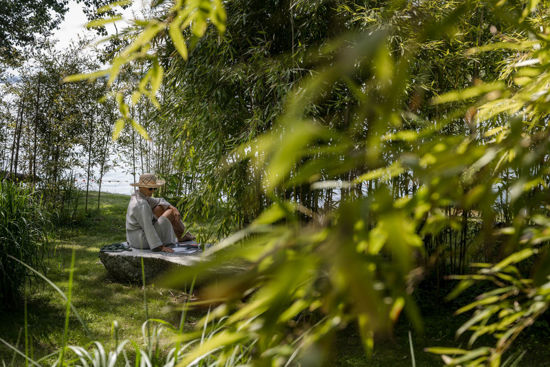 Bild von Sauna-Events